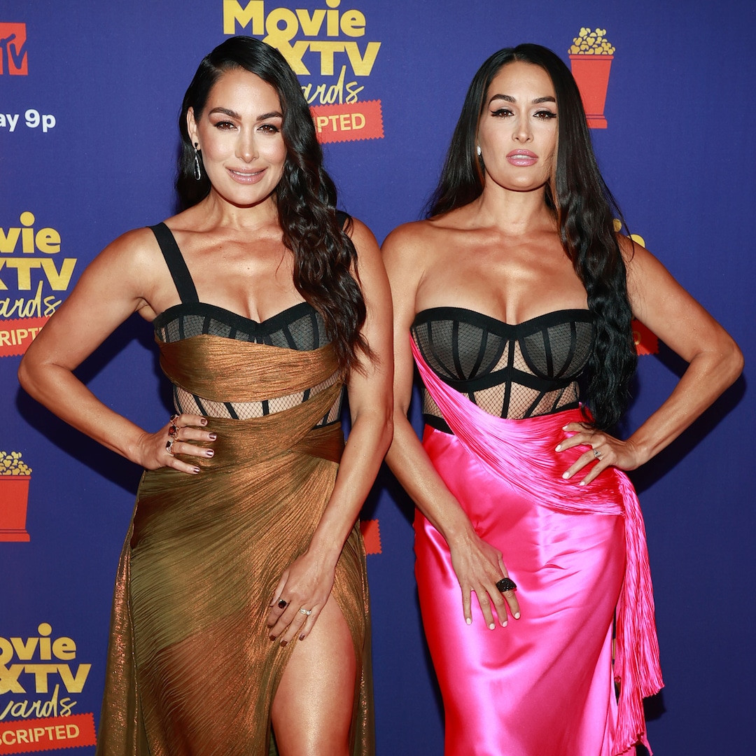 Nikki and Brie Bella Just Debuted "Chic" New Matching Haircuts